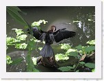 Dierentuin Burgers  Zoo 068 * 3648 x 2736 * (4.87MB)